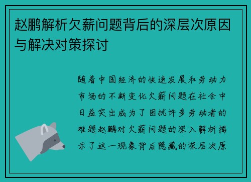 赵鹏解析欠薪问题背后的深层次原因与解决对策探讨