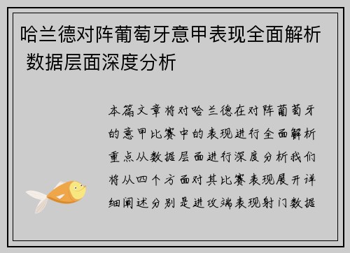 哈兰德对阵葡萄牙意甲表现全面解析 数据层面深度分析